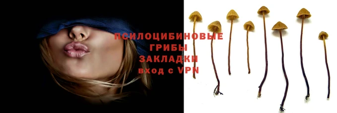 PSILOCYBIN Волосово